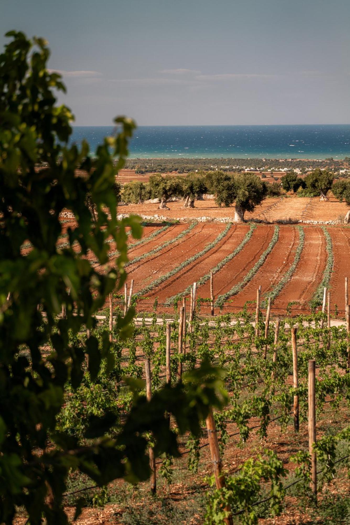 Masseria Auraterrae Hotel